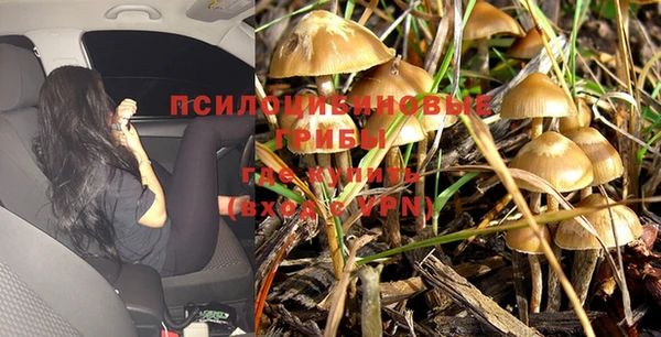 хмурый Алексеевка