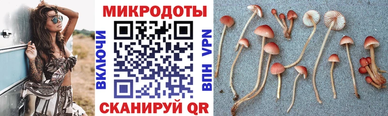 Псилоцибиновые грибы Psilocybine cubensis  MEGA ссылки  Мещовск 